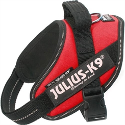 Julius - K9  IDC sele mini - 49-67cm - 7-15kg hund - Rød